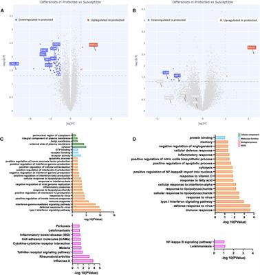 Immunogenomic profile at baseline predicts host susceptibility to clinical malaria